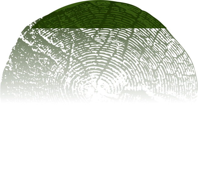 Decorative Image