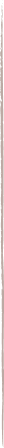 Decorative Image