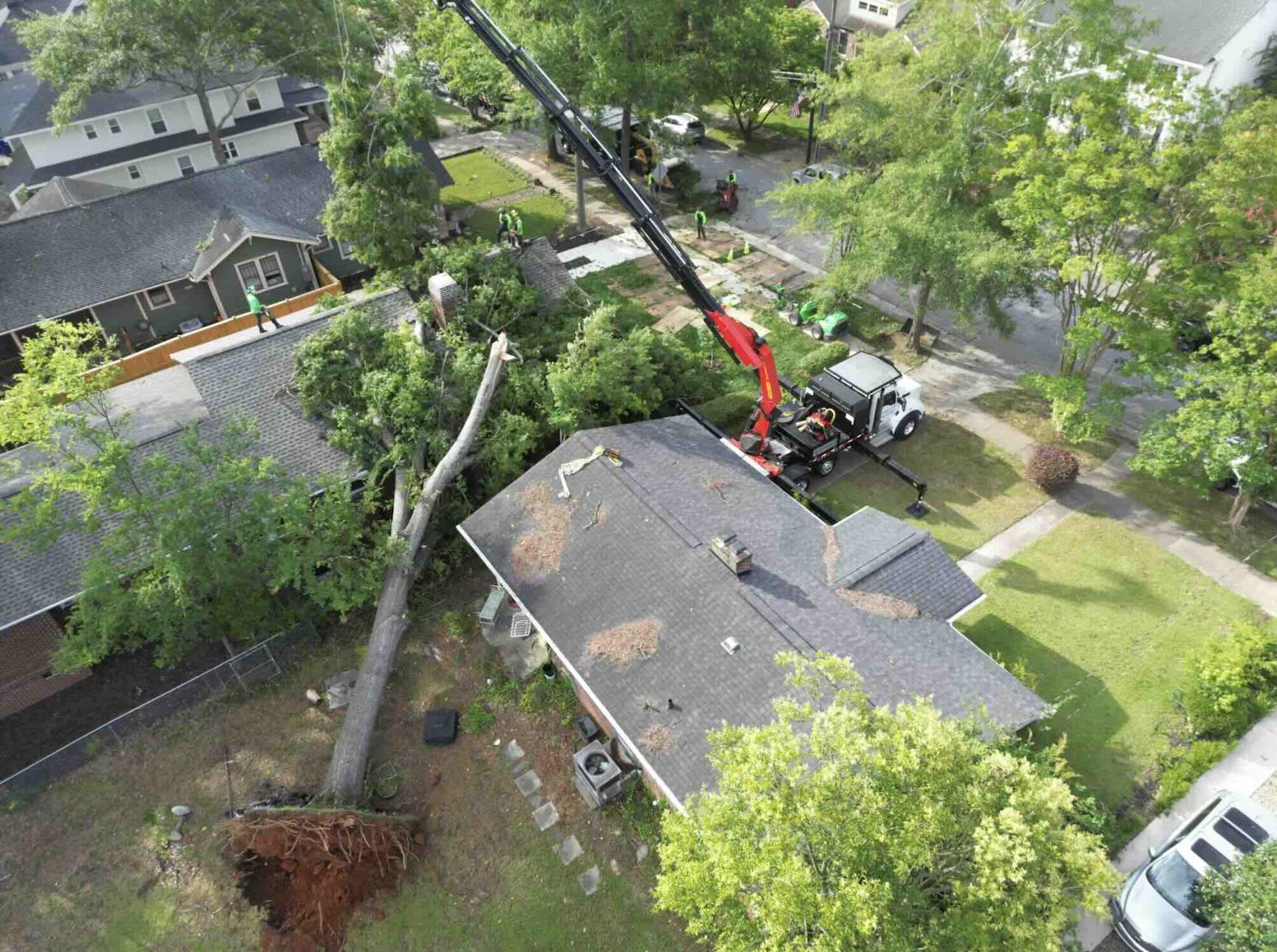 Emergency Tree Removal Job