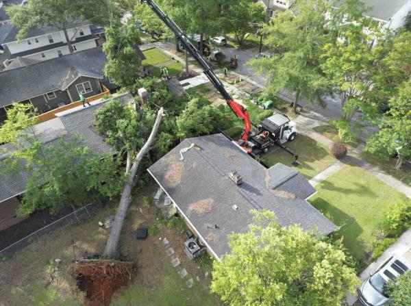 Emergency Tree Removal Job
