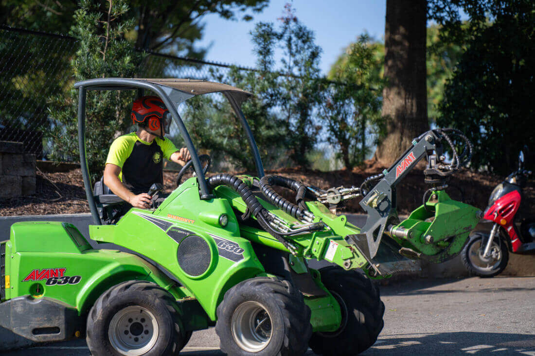 Tree Cleanup Greenville Tree Co.