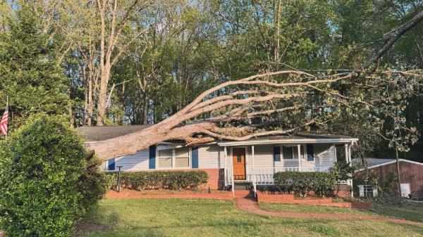 Tree_Fallen_on_House_Resize.jpg